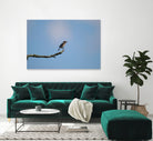 Happy Hoppy Bird by Chris Jackson on GIANT ART - brown mixed media