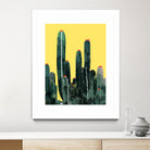 Cactus by Ümmühan Türk on GIANT ART - green digital painting