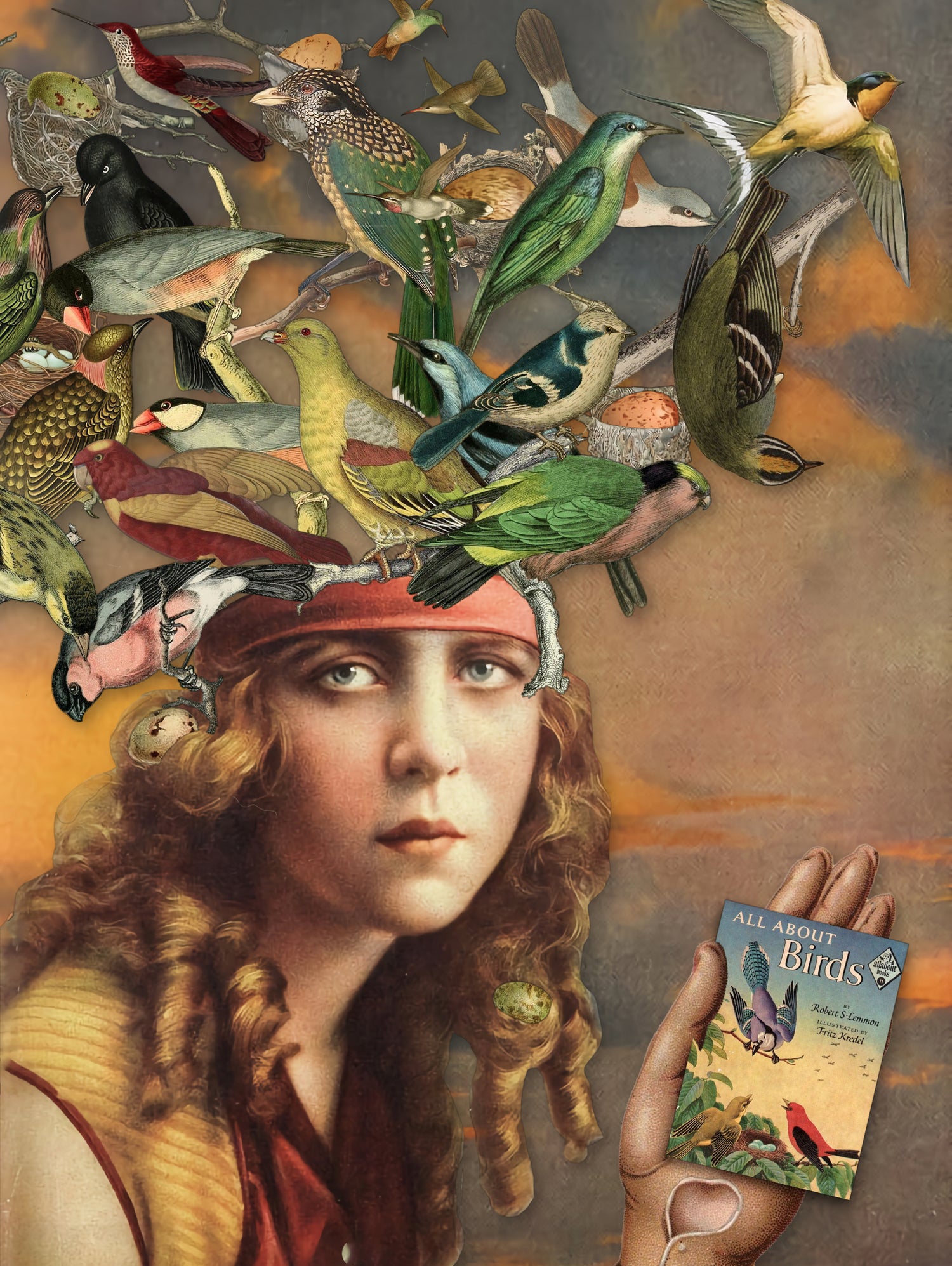 bird brain 2, all about birds by Julia Lillard on GIANT ART - brown photo manipulation