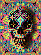 Skull Geo by Ali Gulec on GIANT ART - white digital drawing