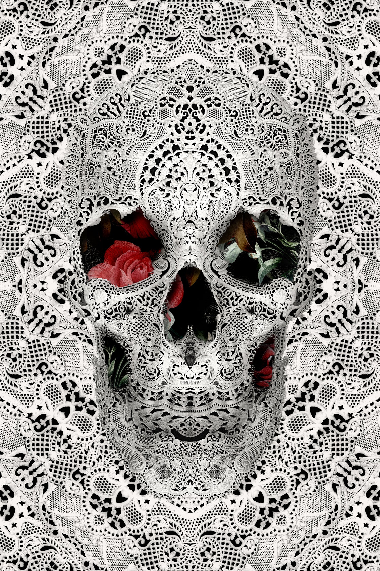 Lace Skull Light by Ali Gulec on GIANT ART - white photo illustration