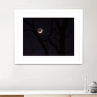 November Moon by Renee Reese on GIANT ART - black photo illustration