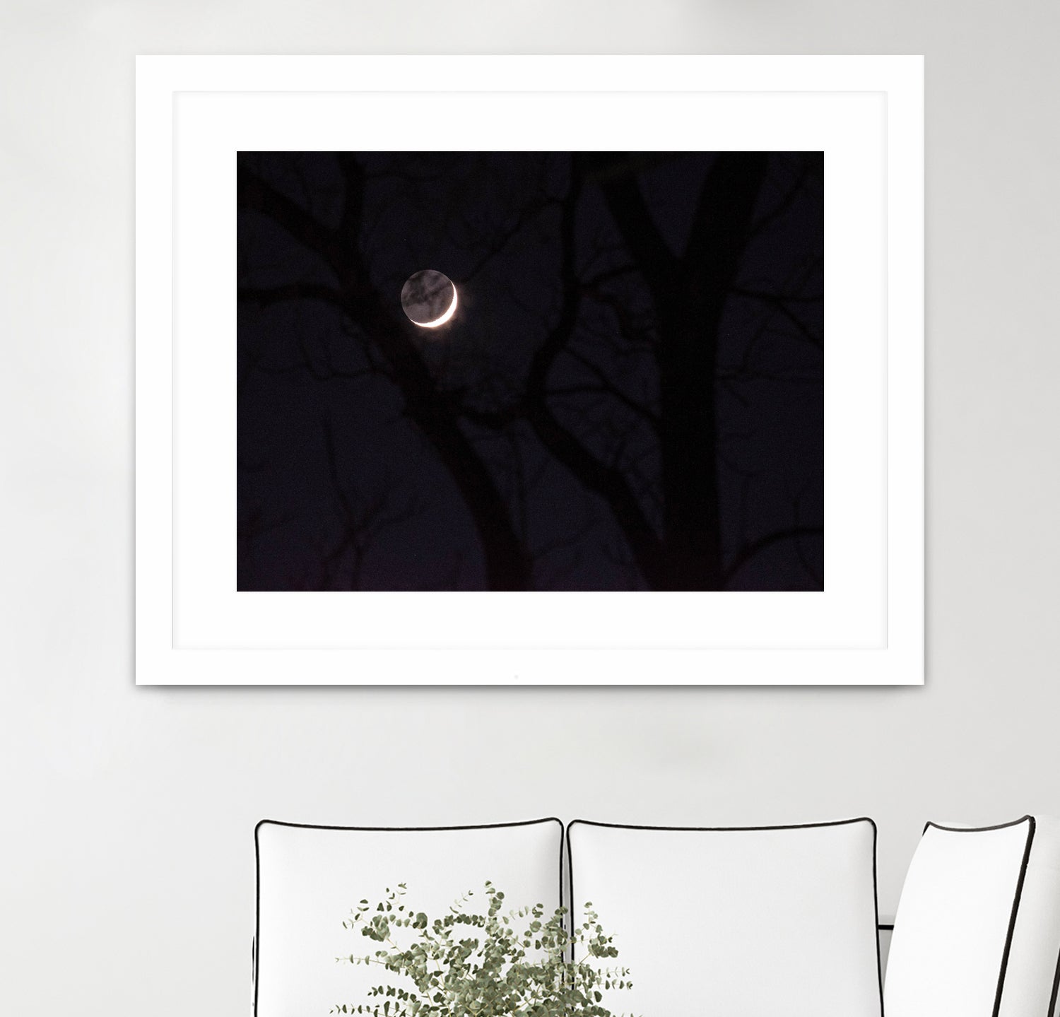 November Moon by Renee Reese on GIANT ART - black photo illustration