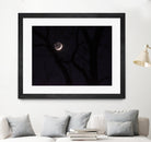 November Moon by Renee Reese on GIANT ART - black photo illustration