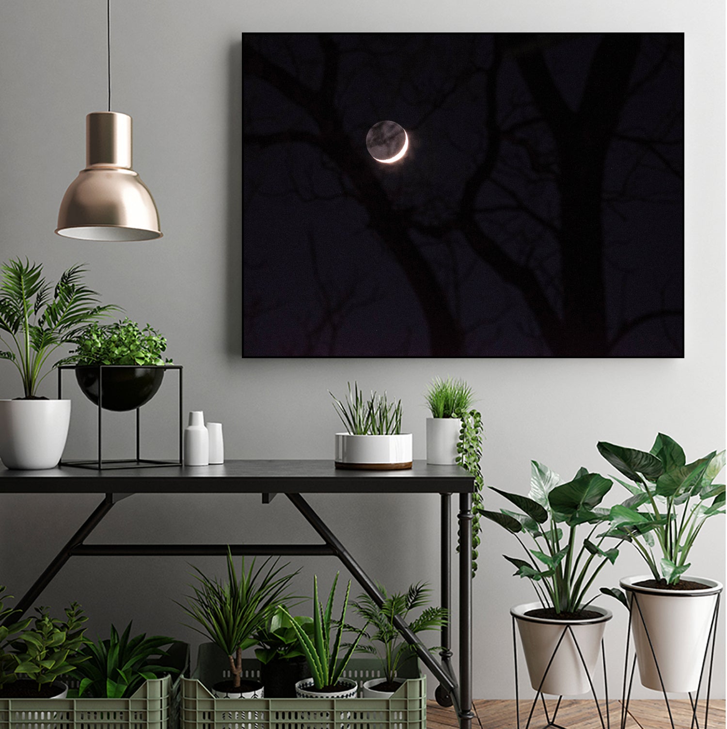 November Moon by Renee Reese on GIANT ART - black photo illustration