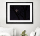 November Moon by Renee Reese on GIANT ART - black photo illustration