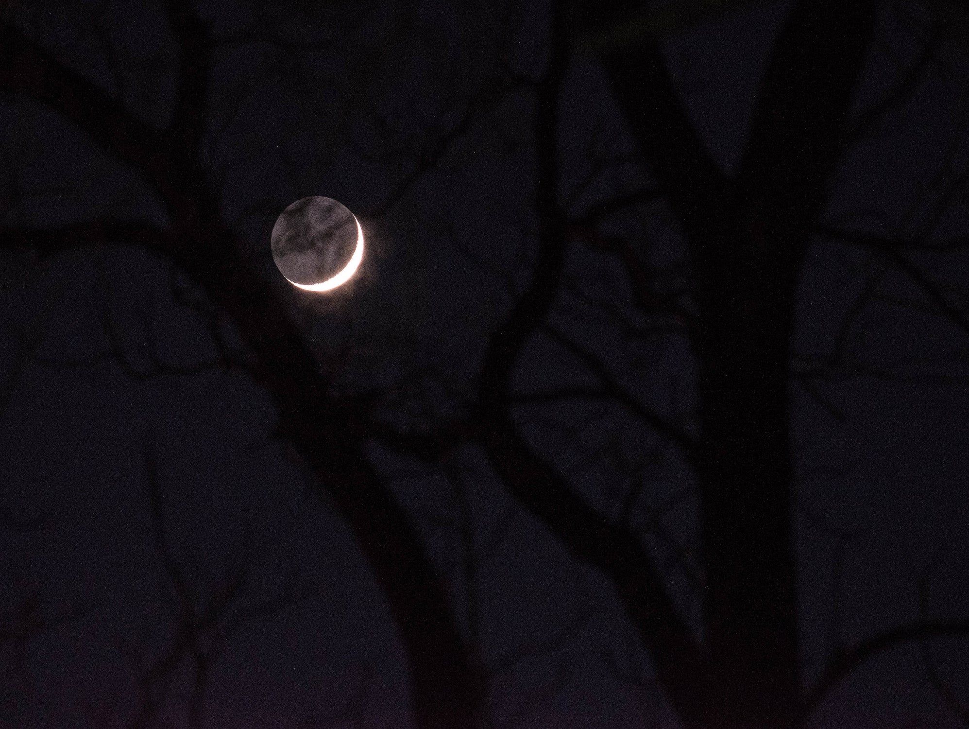 November Moon by Renee Reese on GIANT ART - black photo illustration