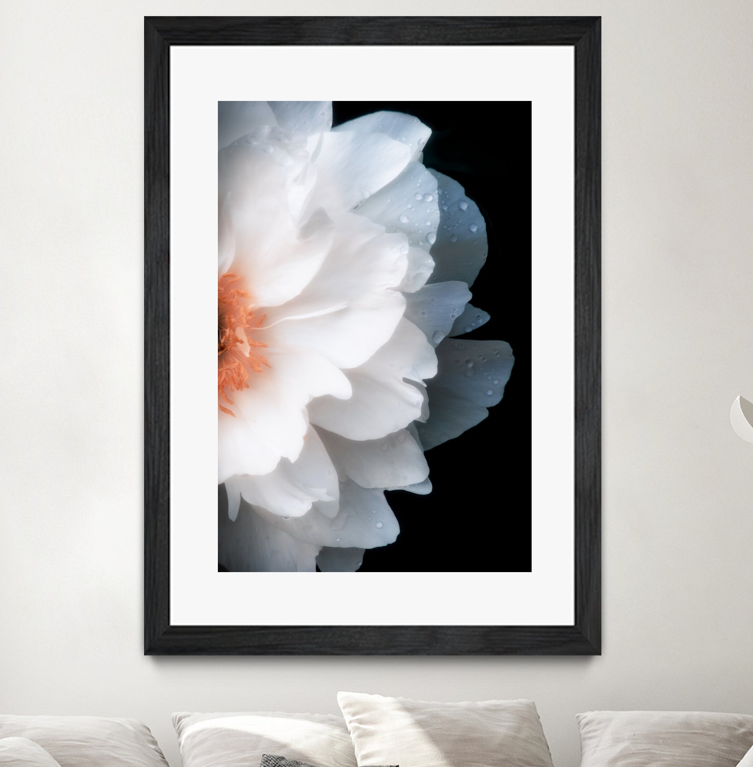 White Flower by Konstantin Sevostyanov on GIANT ART - white photo illustration