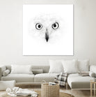 The Owl by Monica Cipriano on GIANT ART - white photo illustration