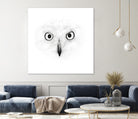 The Owl by Monica Cipriano on GIANT ART - white photo illustration