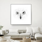 The Owl by Monica Cipriano on GIANT ART - white photo illustration