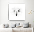 The Owl by Monica Cipriano on GIANT ART - white photo illustration