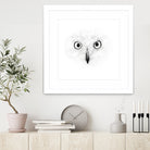 The Owl by Monica Cipriano on GIANT ART - white photo illustration