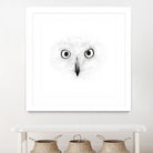 The Owl by Monica Cipriano on GIANT ART - white photo illustration