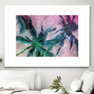 Textured Palms II by Lisa Argyropoulos on GIANT ART - green photo illustration