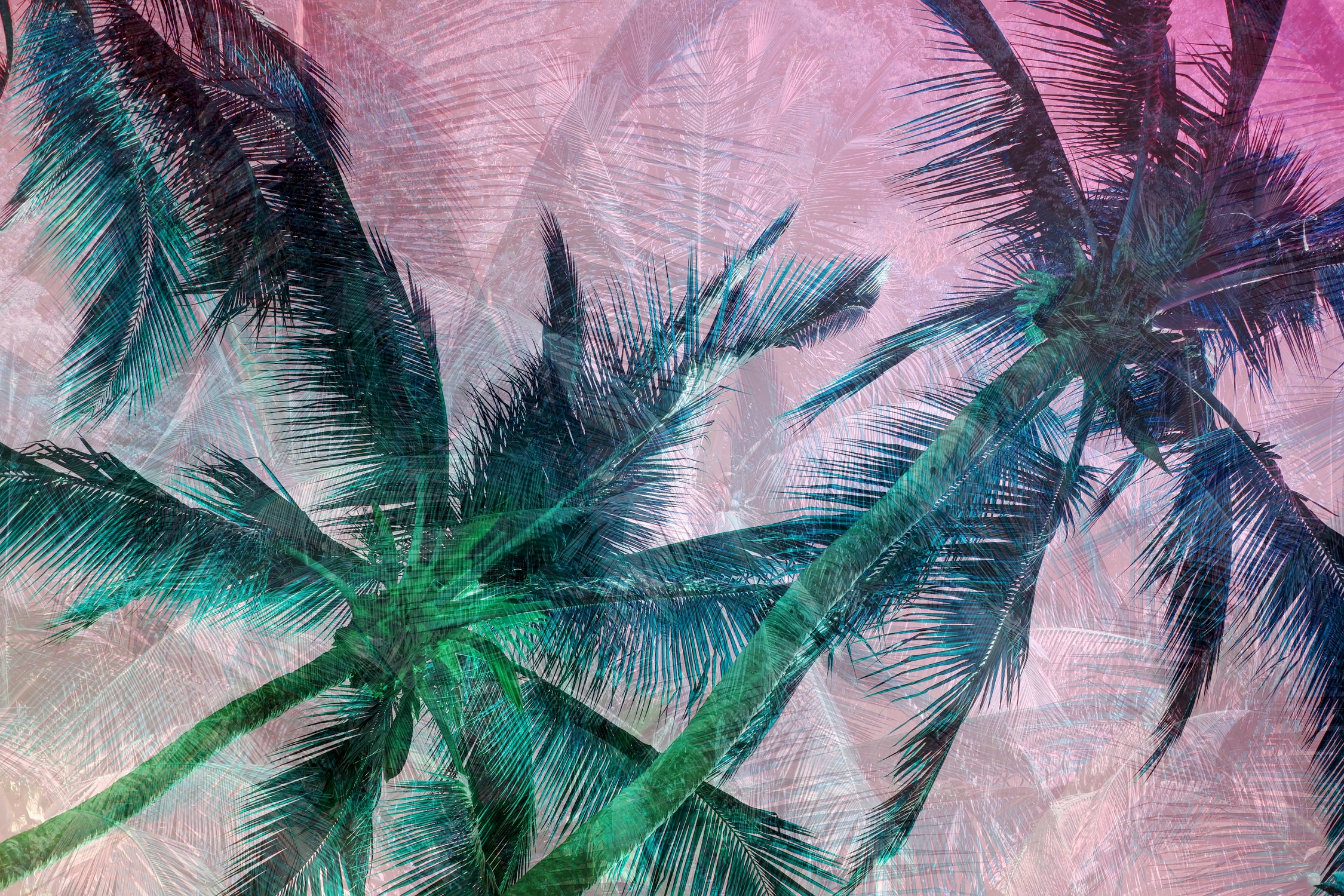 Textured Palms II by Lisa Argyropoulos on GIANT ART - green photo illustration