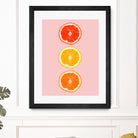 Citrus by Laura Turner on GIANT ART - pink processing/programming