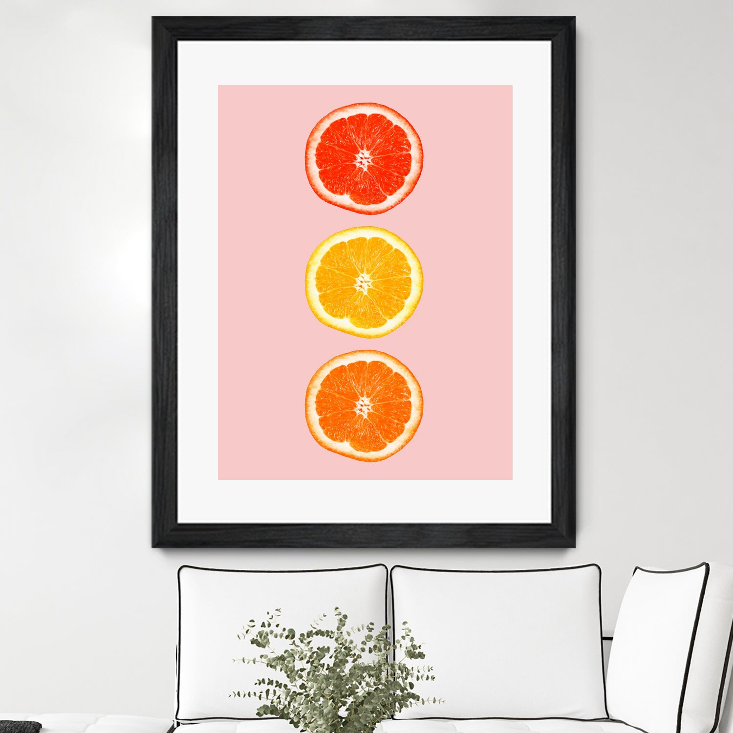 Citrus by Laura Turner on GIANT ART - pink processing/programming