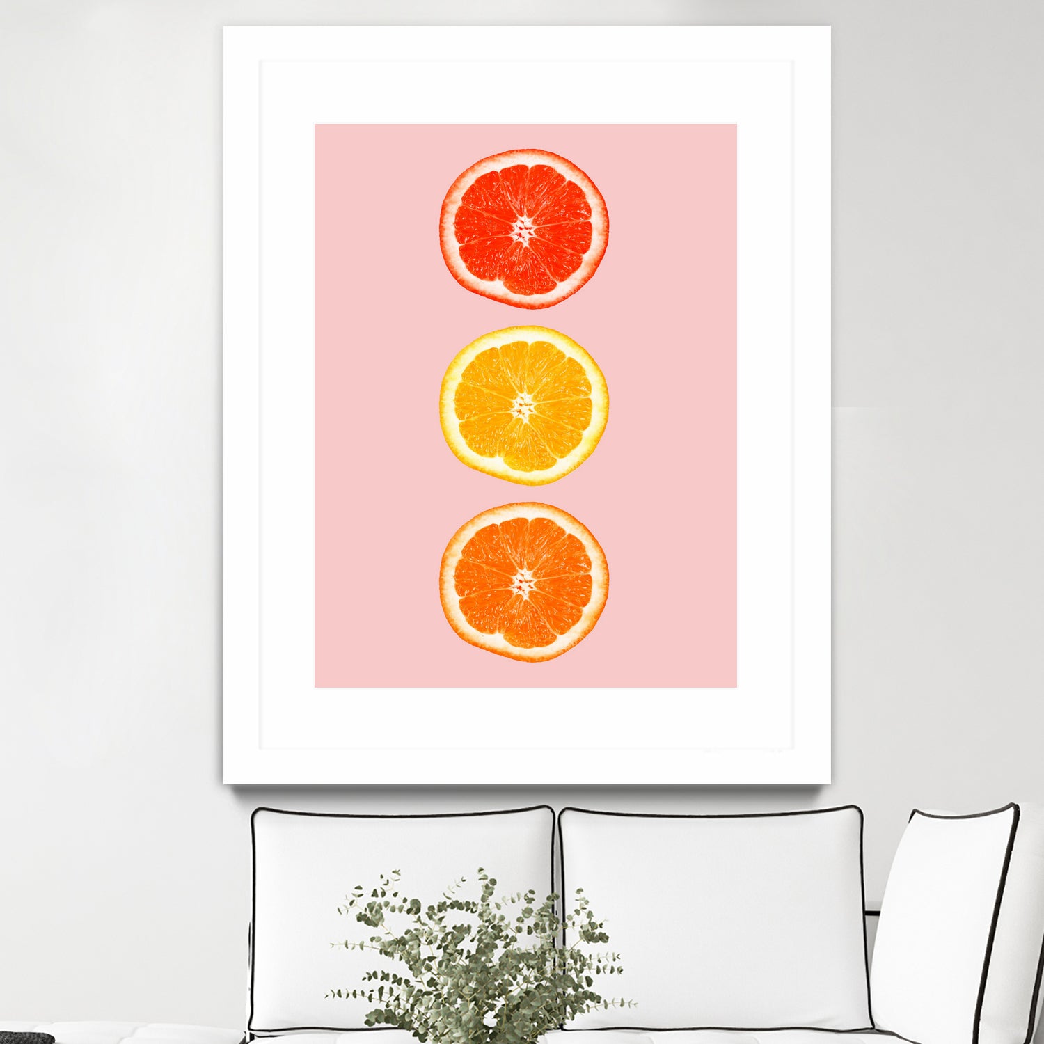 Citrus by Laura Turner on GIANT ART - pink processing/programming