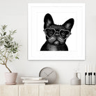 French bulldog portrait in glasses by Anastasiia Kononenko on GIANT ART - black cartooning