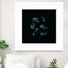 Jellyfish Ballet by ursulla Pinon on GIANT ART - black digital drawing