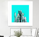 Majestic Cactus by Dominique Van Roey on GIANT ART - blue photo manipulation