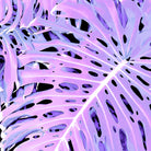 Lilac Monstera by Nina May on GIANT ART - fuchsia digital painting