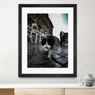 Street Cat by Nicklas Gustafsson on GIANT ART - black mixed media