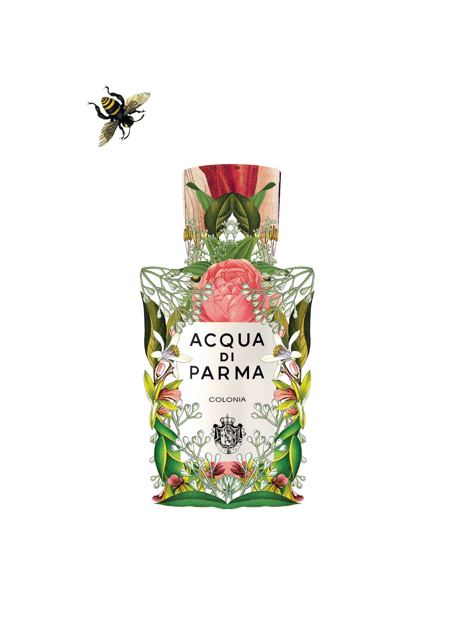 Acqua di Parma - Colonia by Sixto-Juan Zavala on GIANT ART - pink mixed media