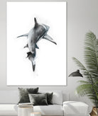 Shark II by Marcou Alexis on GIANT ART - digital drawing