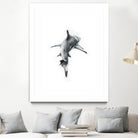 Shark II by Marcou Alexis on GIANT ART - digital drawing