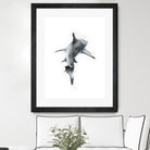 Shark II by Marcou Alexis on GIANT ART - digital drawing