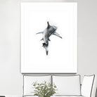 Shark II by Marcou Alexis on GIANT ART - digital drawing