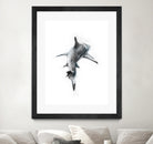 Shark II by Marcou Alexis on GIANT ART - digital drawing