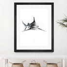 Shark III by Marcou Alexis on GIANT ART - digital drawing