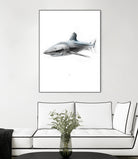 Shark I by Marcou Alexis on GIANT ART - gray digital drawing