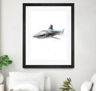 Shark I by Marcou Alexis on GIANT ART - gray digital drawing