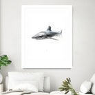 Shark I by Marcou Alexis on GIANT ART - gray digital drawing