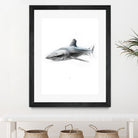 Shark I by Marcou Alexis on GIANT ART - gray digital drawing