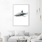 Shark I by Marcou Alexis on GIANT ART - gray digital drawing