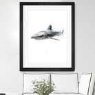 Shark I by Marcou Alexis on GIANT ART - gray digital drawing