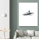 Shark I by Marcou Alexis on GIANT ART - gray digital drawing