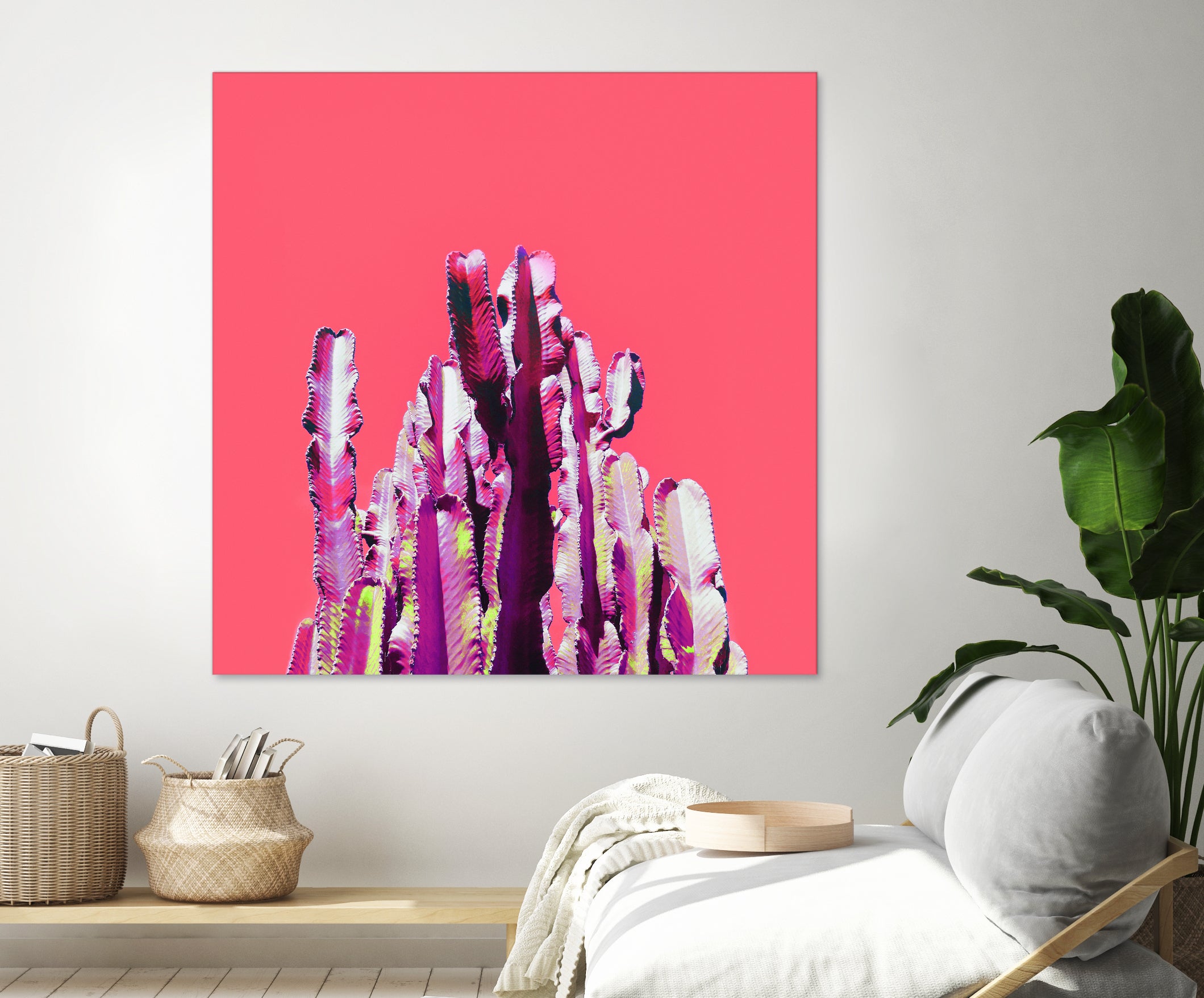 Majestic Cactus on Coral by Dominique Van Roey on GIANT ART - pink photo manipulation