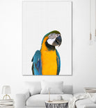 Macaw Parrot by Justinas Jokubauskas on GIANT ART - yellow photo manipulation