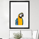 Macaw Parrot by Justinas Jokubauskas on GIANT ART - yellow photo manipulation