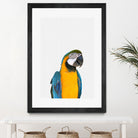 Macaw Parrot by Justinas Jokubauskas on GIANT ART - yellow photo manipulation