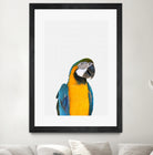 Macaw Parrot by Justinas Jokubauskas on GIANT ART - yellow photo manipulation