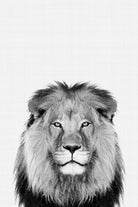 Lion Portrait by Justinas Jokubauskas on GIANT ART - black photo manipulation