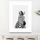 Zebra Portrait by Justinas Jokubauskas on GIANT ART - black photo manipulation