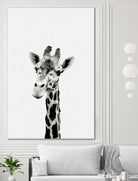 Giraffe Portrait by Justinas Jokubauskas on GIANT ART - black photo manipulation